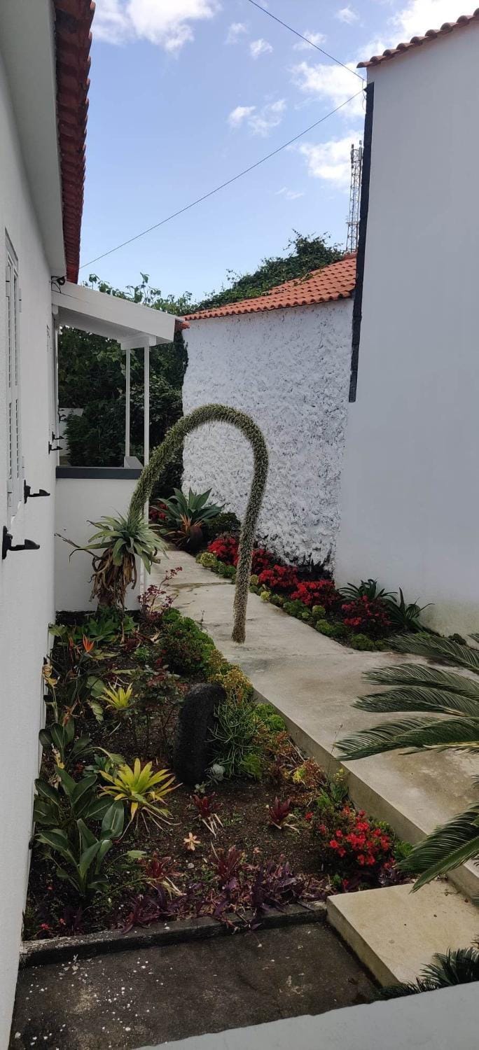 Day, Garden, Garden view
