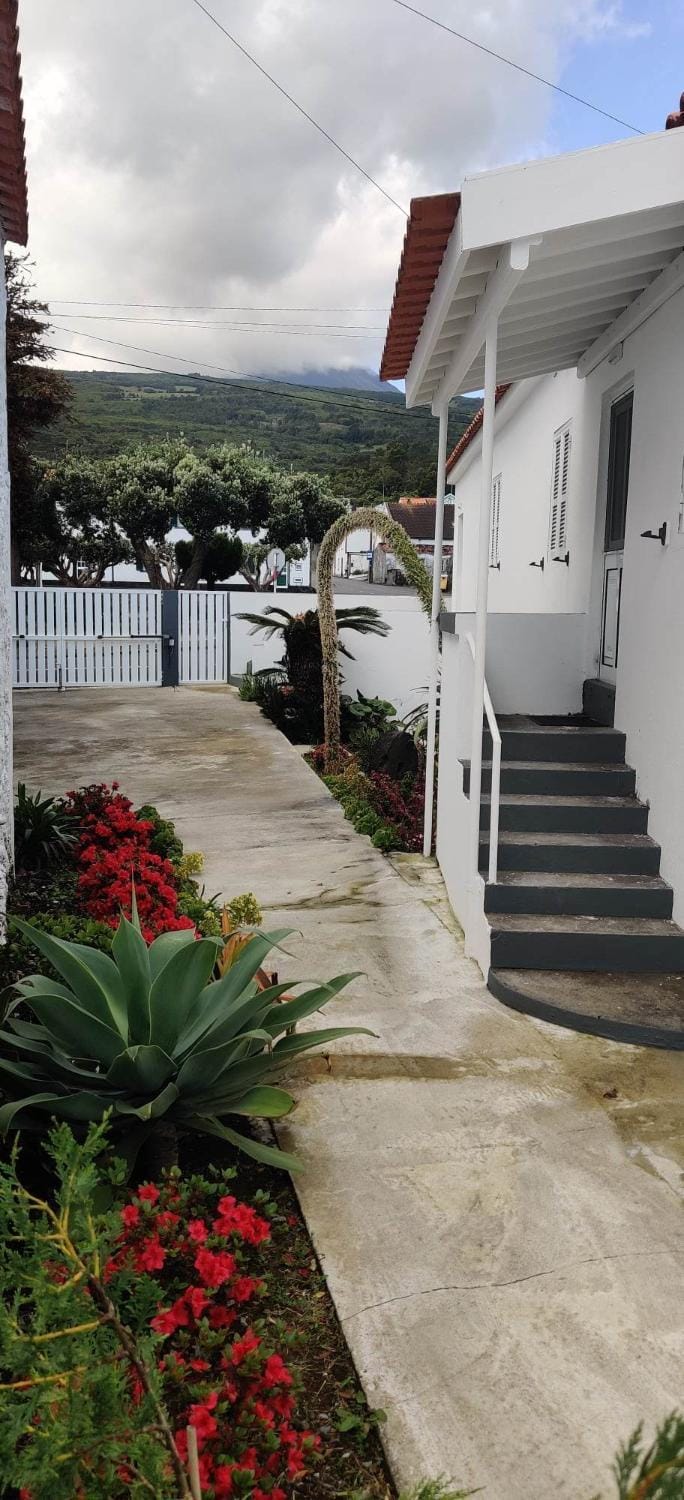 Day, Garden view, Mountain view