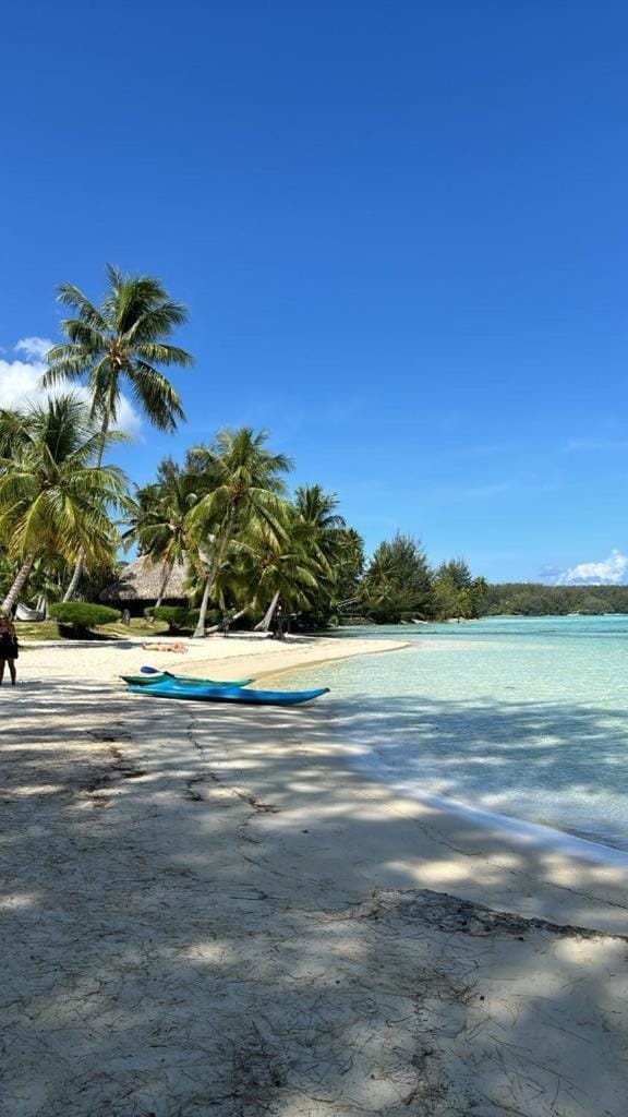 Beach de rêve de moorea Chalet in Moorea-Maiao