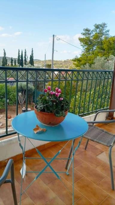 Balcony/Terrace, Garden view