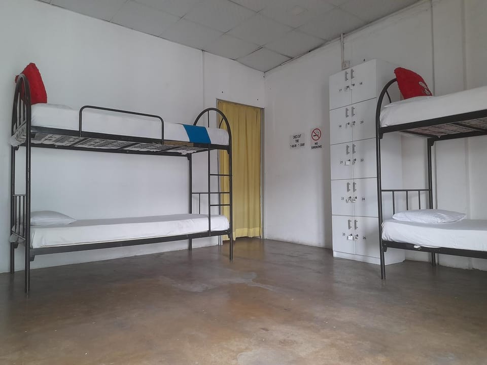 bunk bed