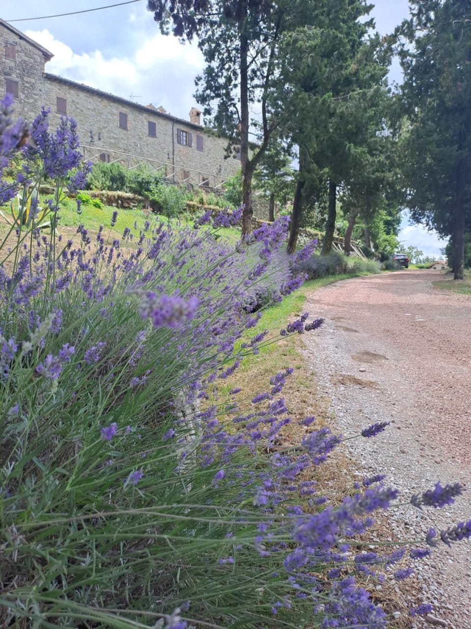 Garden, Garden view