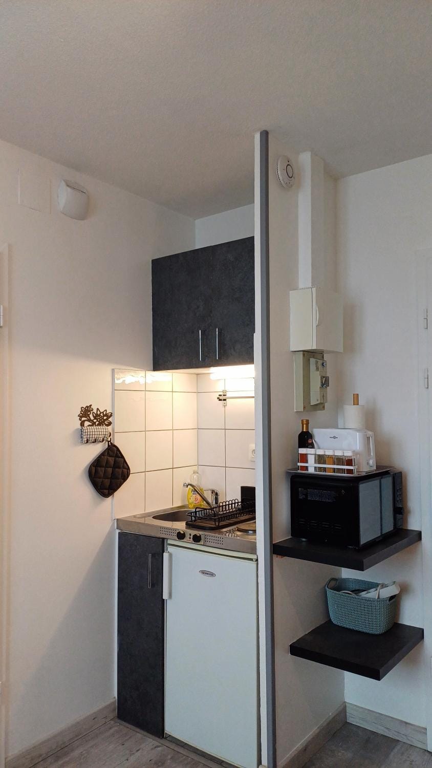Charmant Studio Proche Centre Ville + Parking Apartment in Colmar
