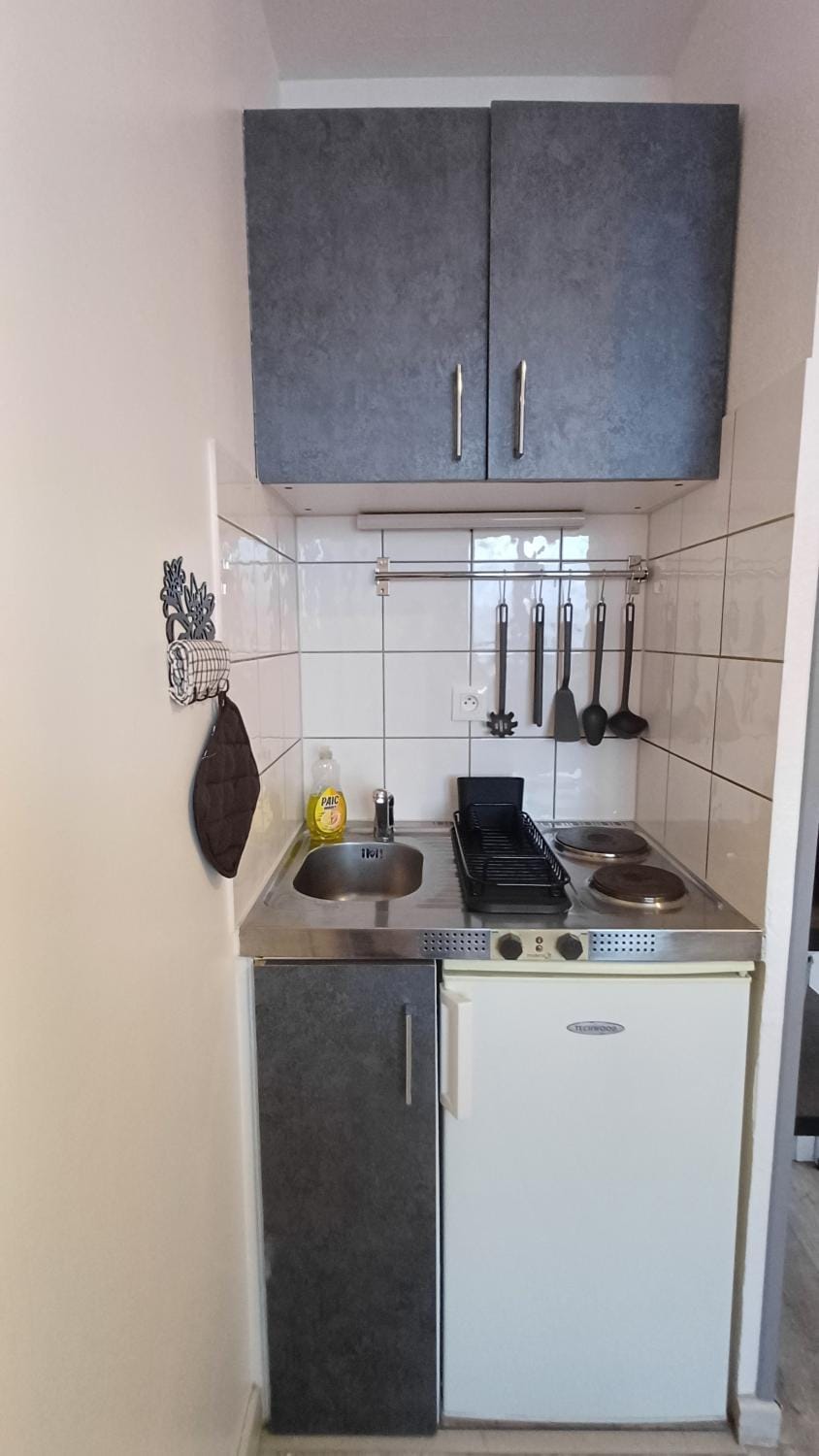Charmant Studio Proche Centre Ville + Parking Apartment in Colmar