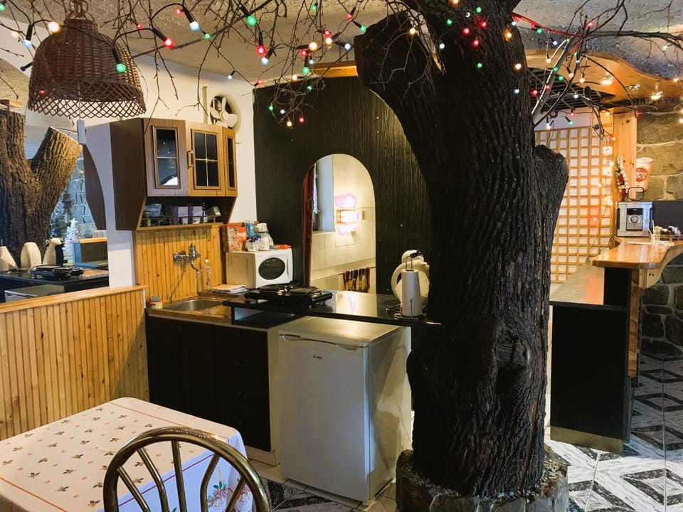 Kitchen or kitchenette, Communal kitchen, stove