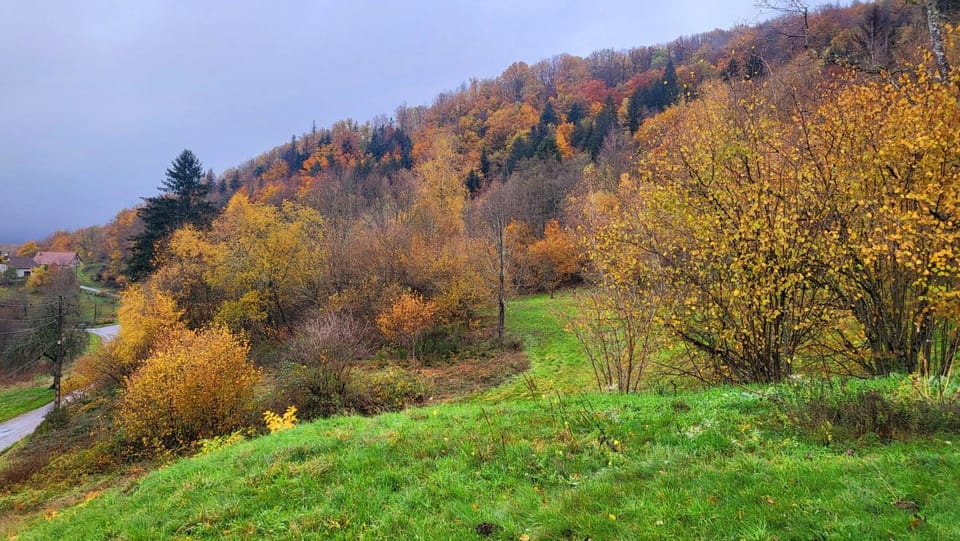 Natural landscape