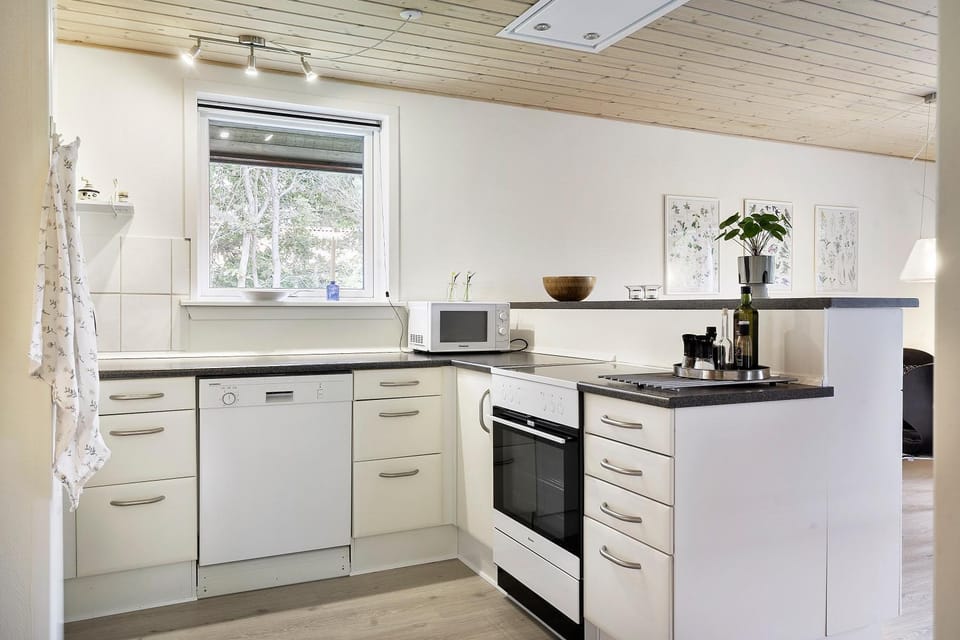 Kitchen or kitchenette, dishwasher, oven, pet friendly, stove