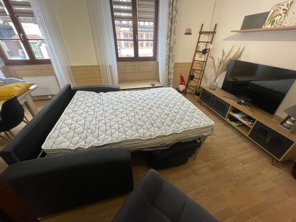 Communal lounge/ TV room, Bed, TV and multimedia, Living room, Seating area
