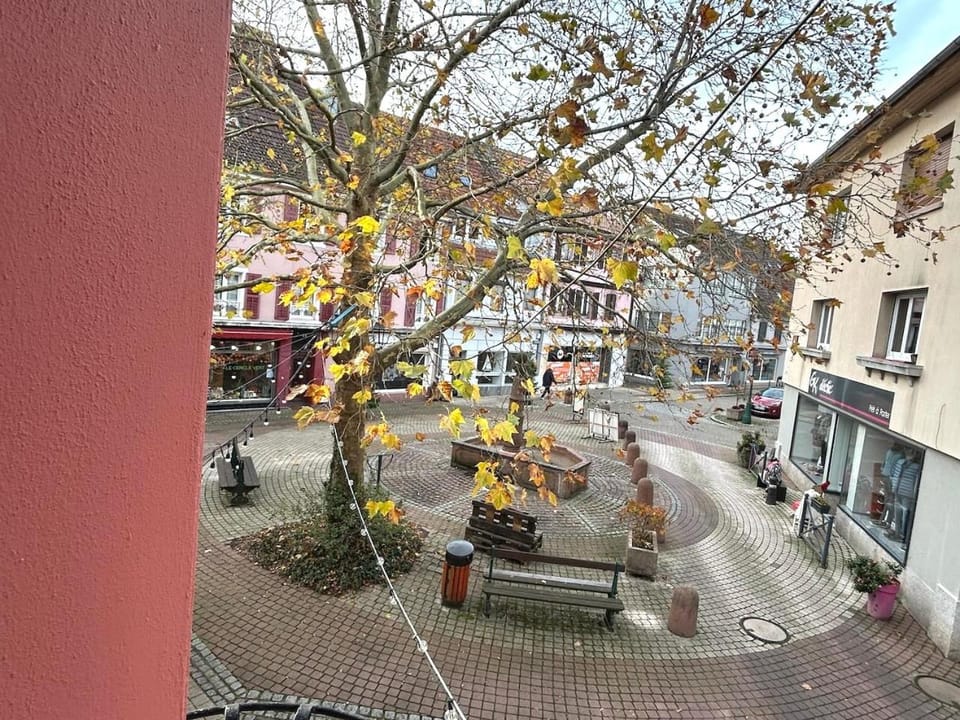 City view, Mountain view, Quiet street view