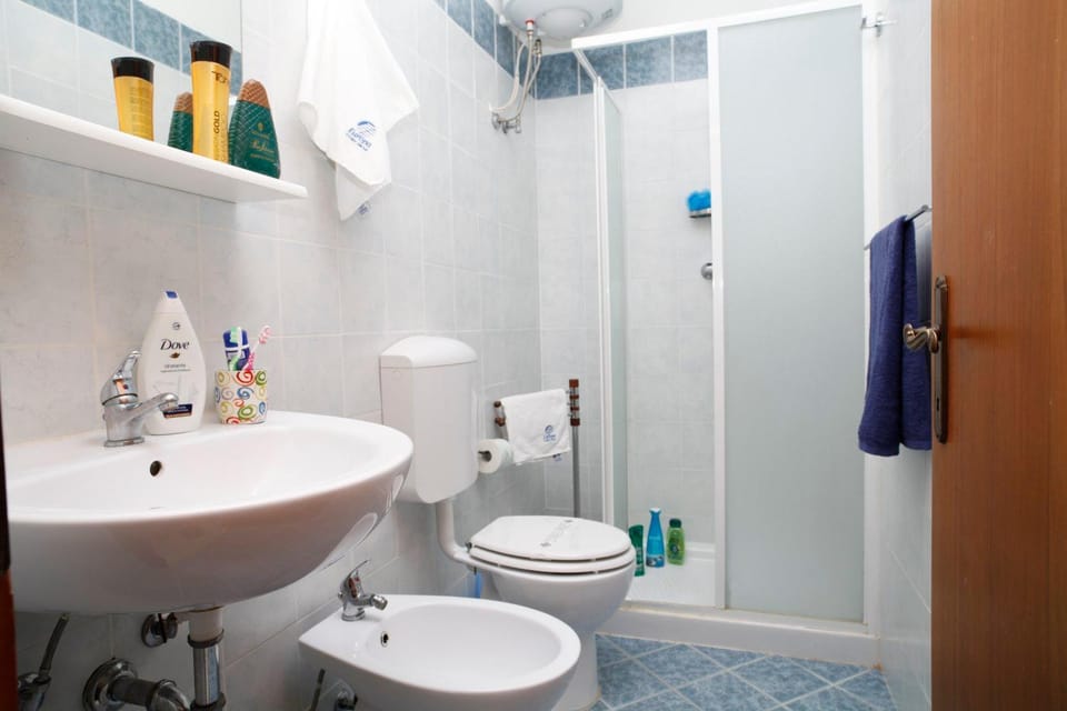 Shower, Toilet, Bathroom, bidet