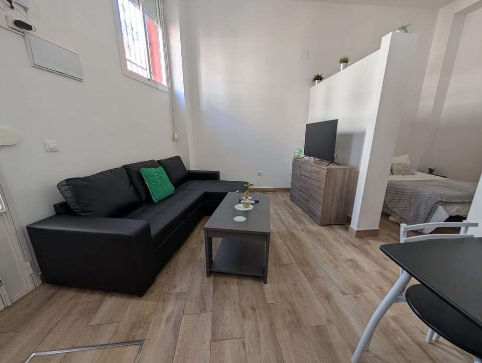 Apartamentos cruz roja B Apartment in Seville