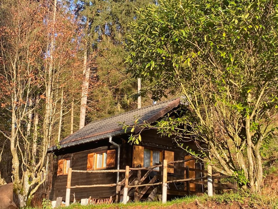 Le Paradis de Verdure Chalet in Grand Est