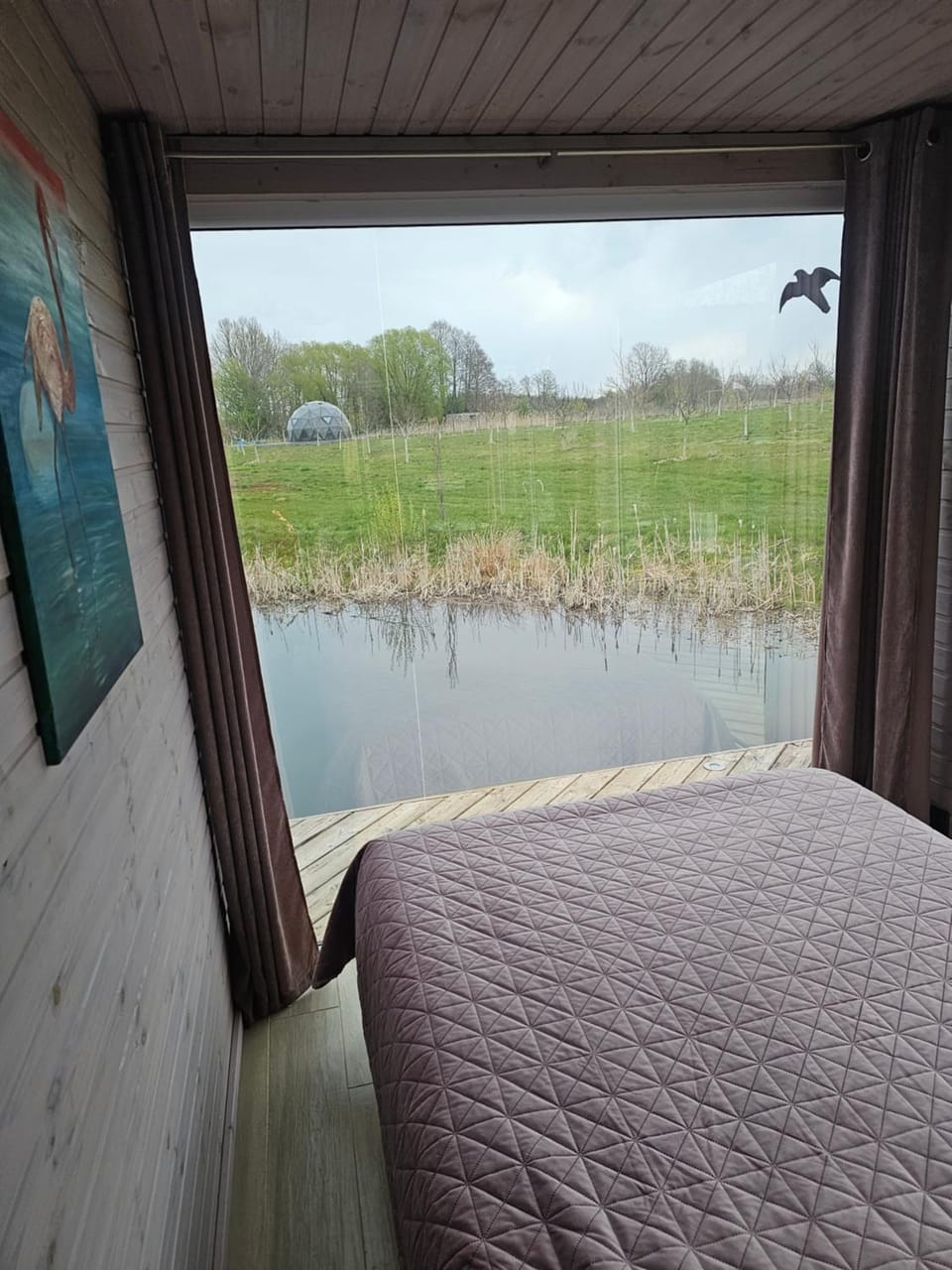 Vaitų Riešutynė - Small shipping container house House in Lithuania