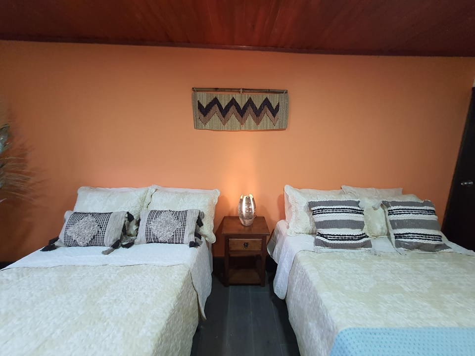 Bed, Photo of the whole room