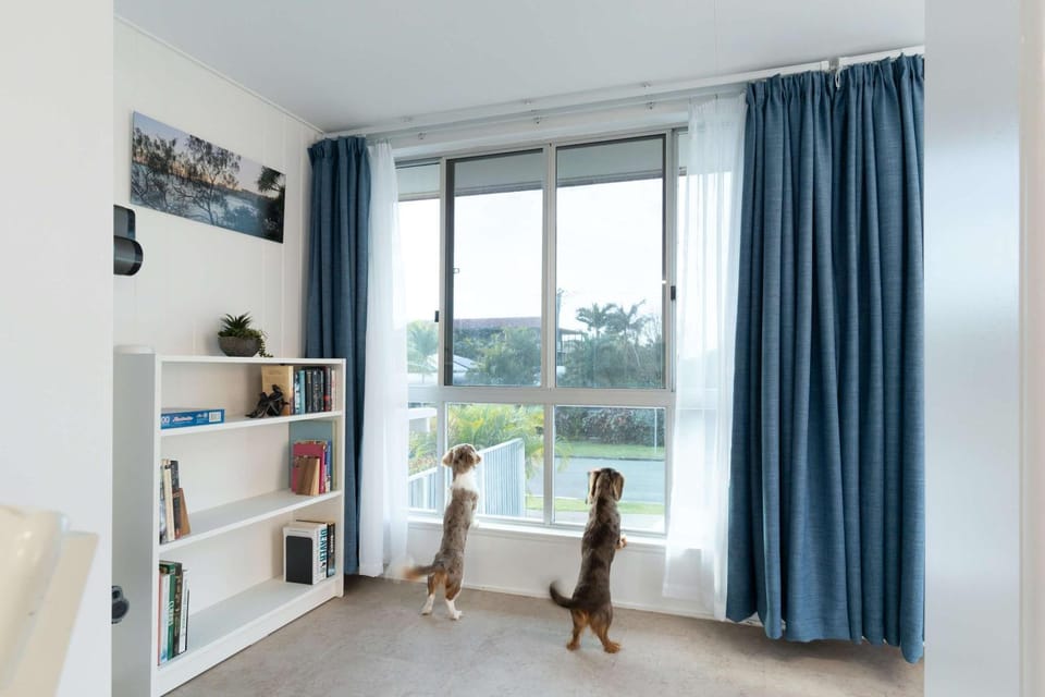 Library, pet friendly