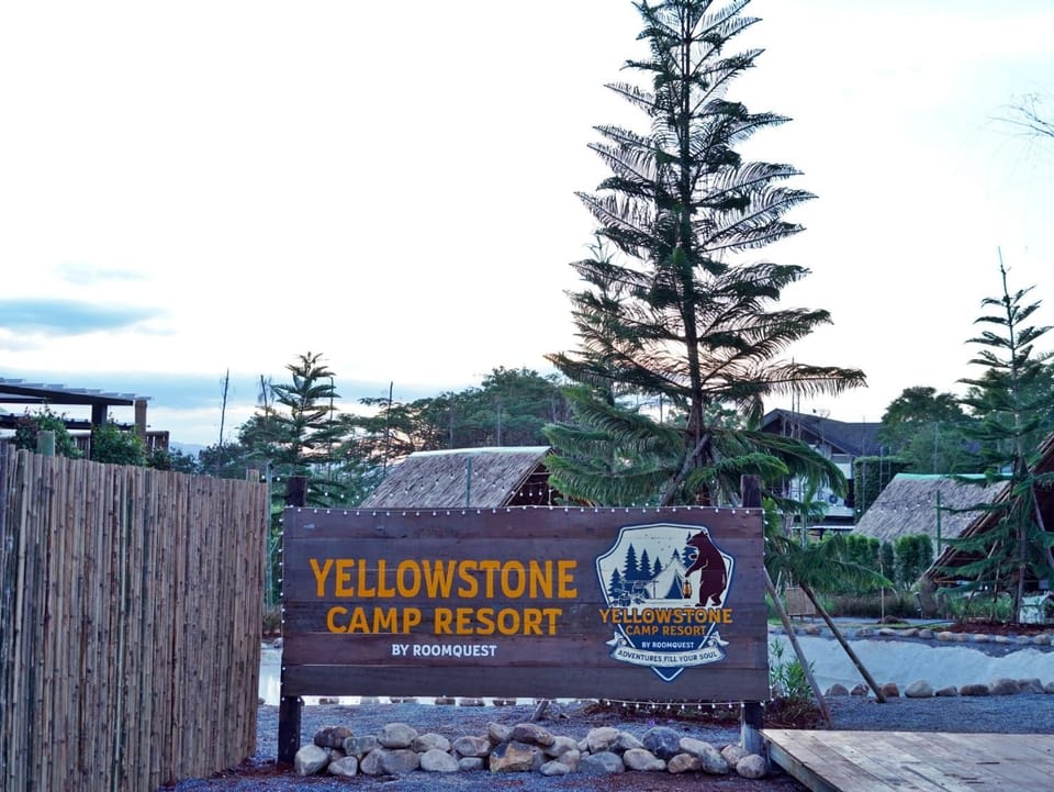Logo/Certificate/Sign