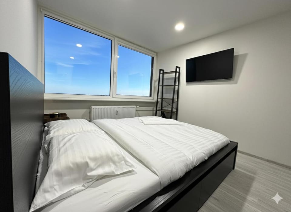 Comfortable center appartment Apartment in Klaipėda
