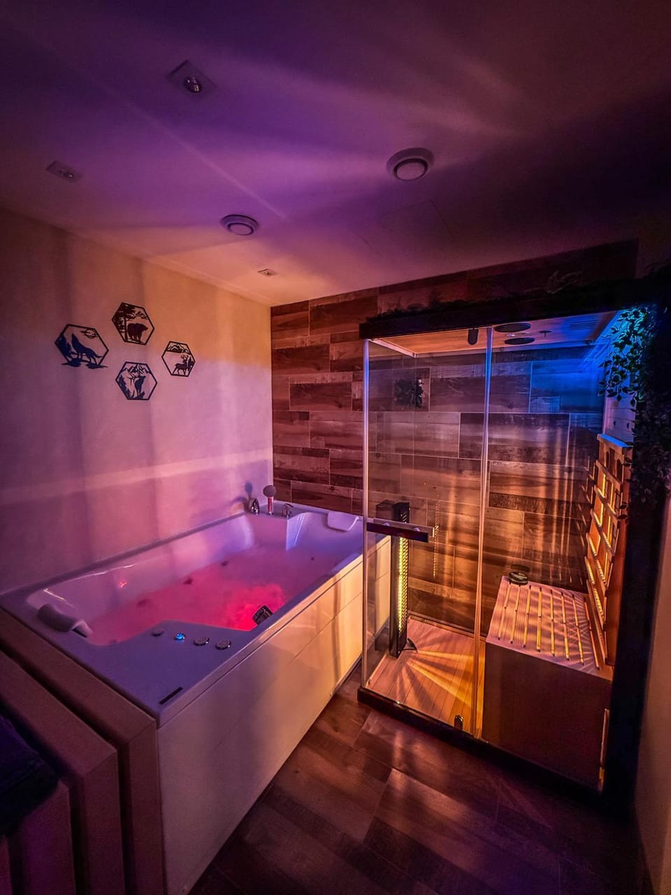 Vila Bašić Vlašić MEDO Studio Apartman Sauna i Jacuzzi Apartment in Federation of Bosnia and Herzegovina