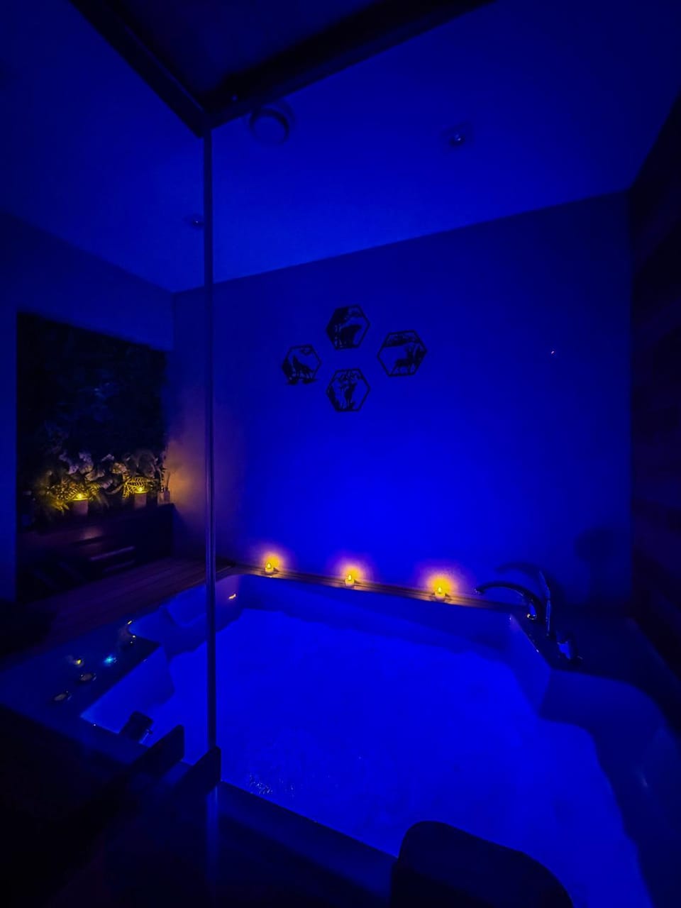 Vila Bašić Vlašić MEDO Studio Apartman Sauna i Jacuzzi Apartment in Federation of Bosnia and Herzegovina