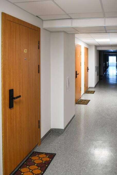 RedBrick center studio V Apartment in Klaipėda