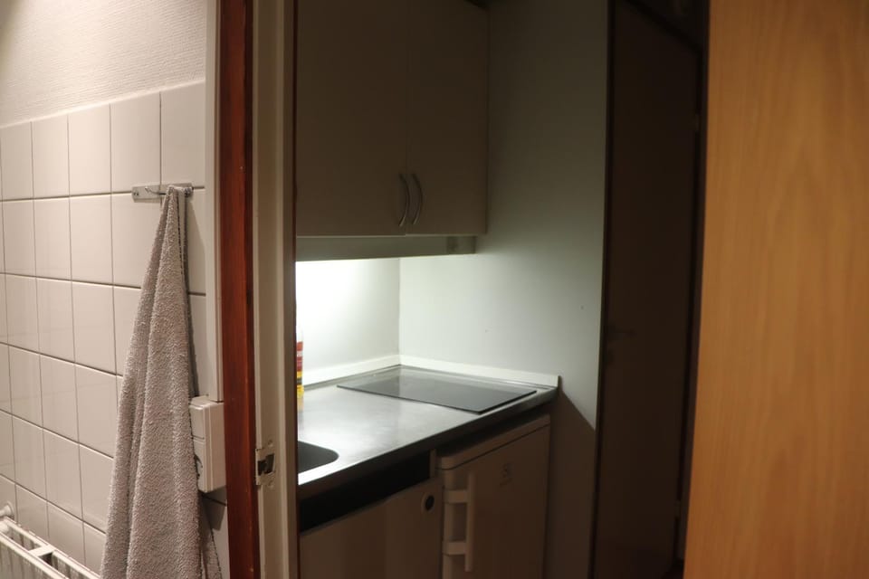 Cozy one room apartment Apartment in Albertslund