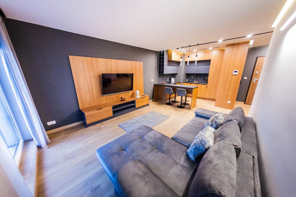 TV and multimedia, Kitchen or kitchenette, Living room, Photo of the whole room, Seating area