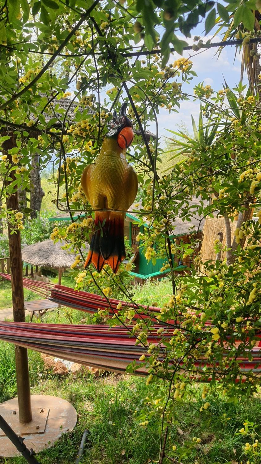 La lyalis Bed and Breakfast in Aiguines