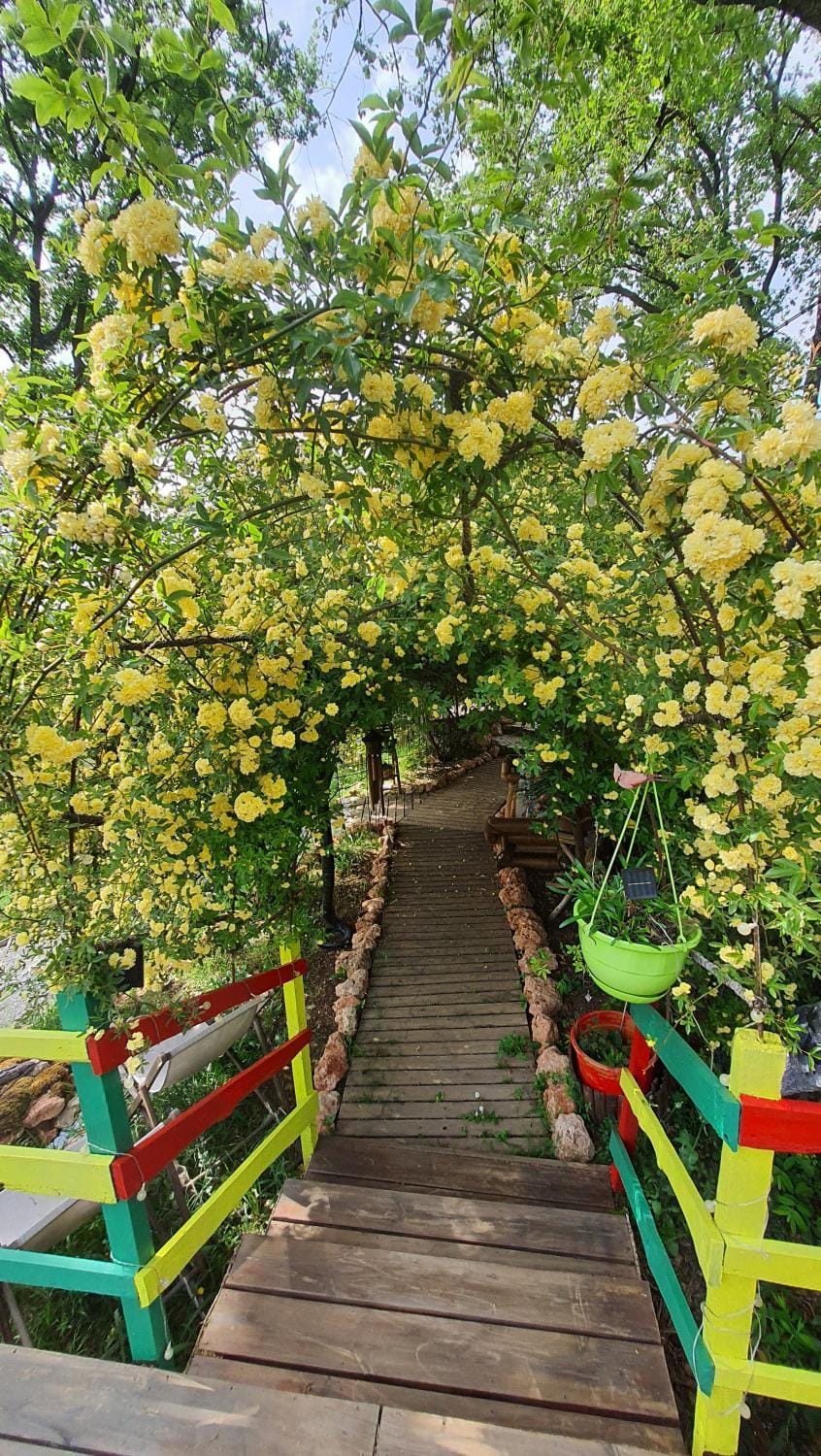 La lyalis Bed and Breakfast in Aiguines