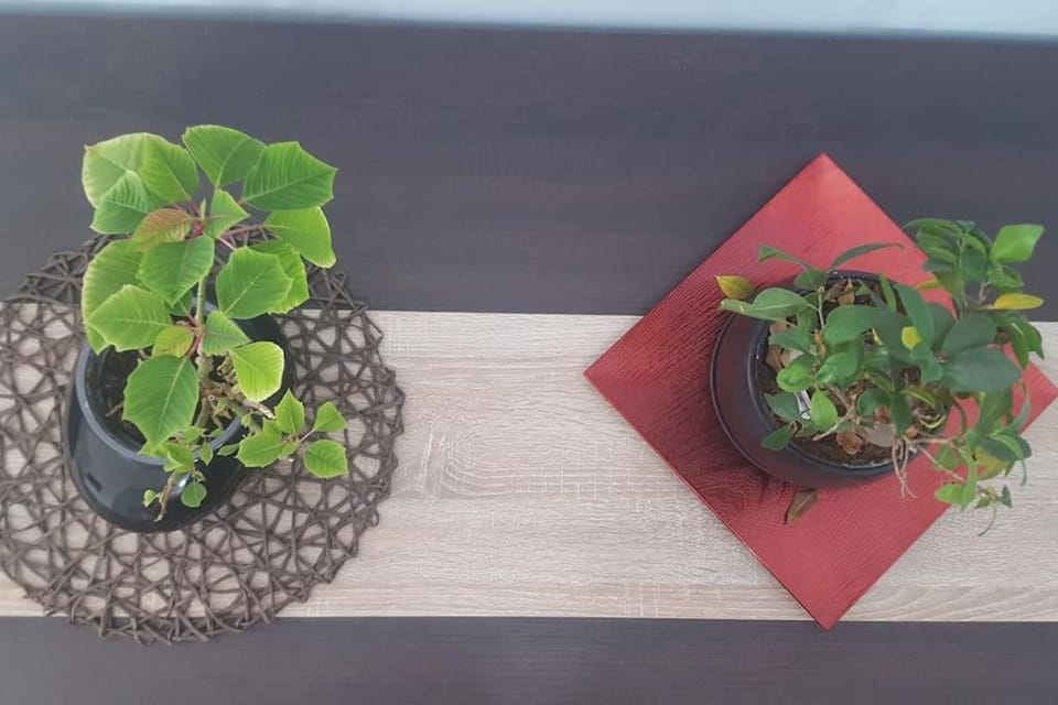 Two bedroom modern apartment Apartment in Decentralized Administration of Macedonia and Thrace