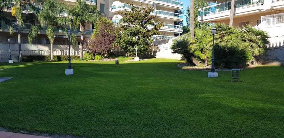 Natural landscape, Garden