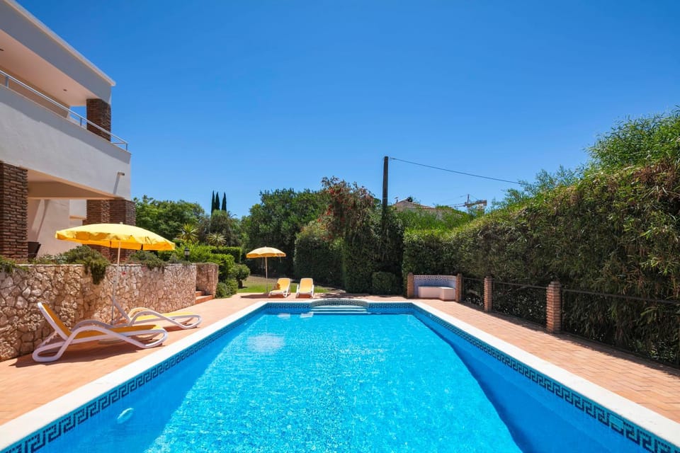 Property building, Patio, Day, Garden, Garden view, Pool view, Swimming pool, Swimming pool, sunbed