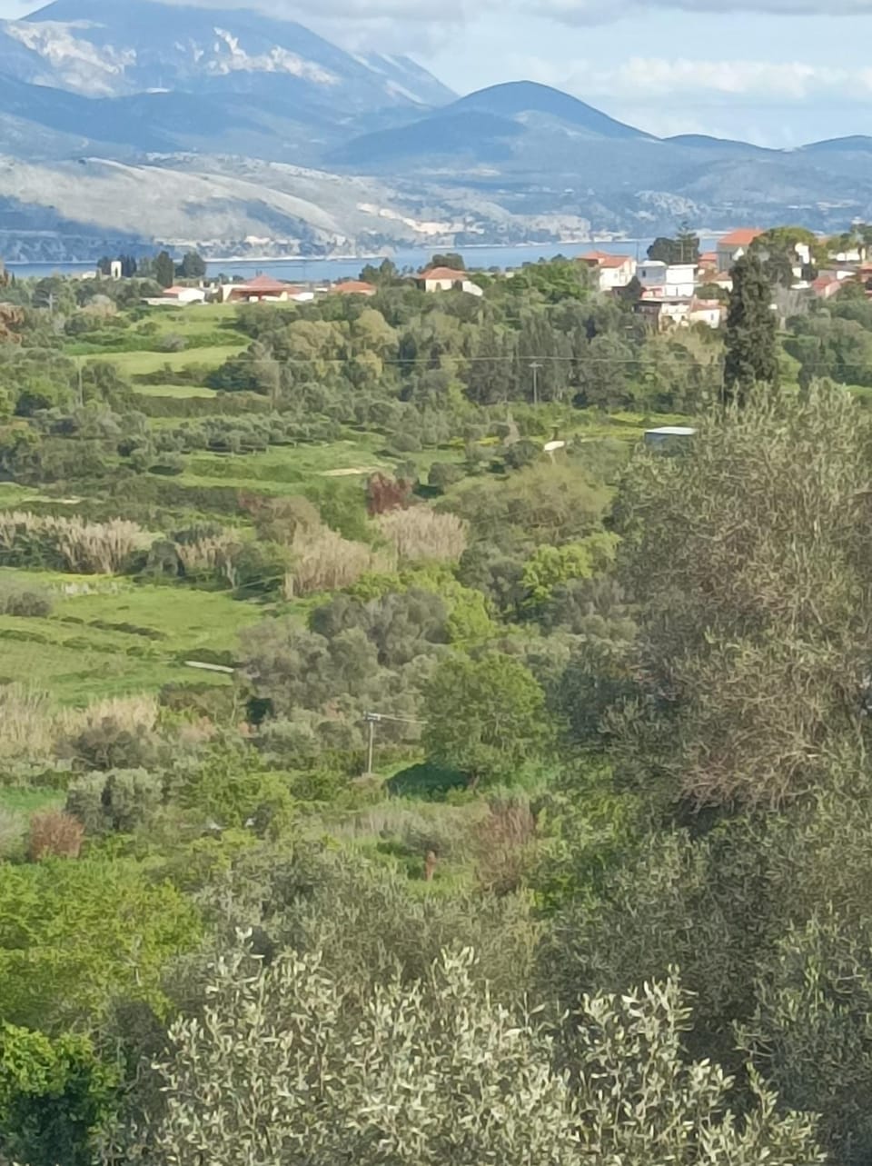View (from property/room)
