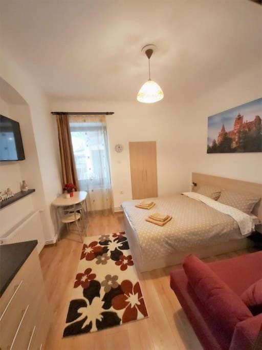 Smile Studio Apartment in Brasov