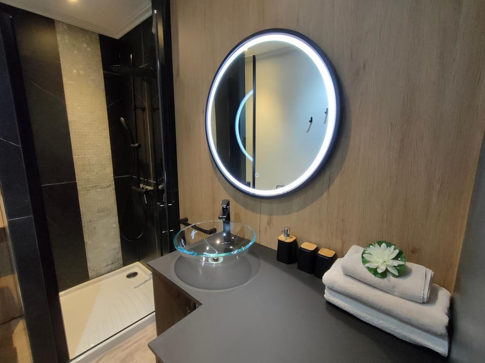 Magnifique 3 étoiles en hyper centre avec place privée Apartment in Aix-les-Bains