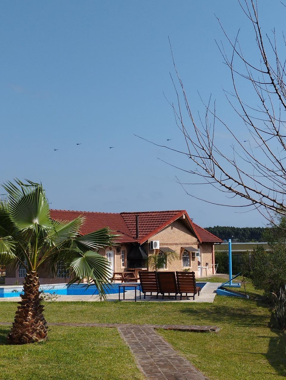 Pool view, sunbed