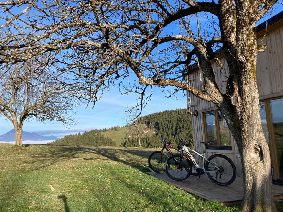 Tiny house House in Slovenia