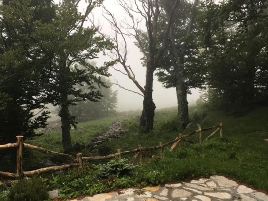 Planinska kuća na Velebitu, s pogledom na more Chalet in Lika-Senj County