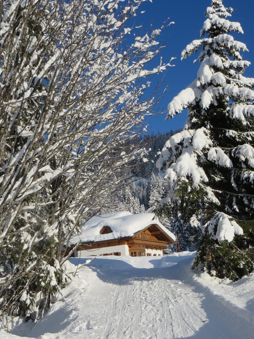 Gästehaus Gschwandtner Apartment in Salzburgerland