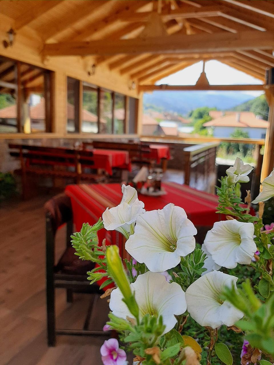 Patio, Restaurant/places to eat, Seating area