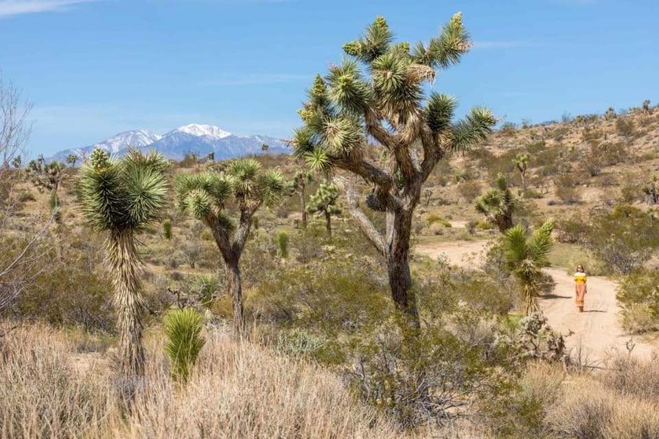 Natural landscape, Mountain view