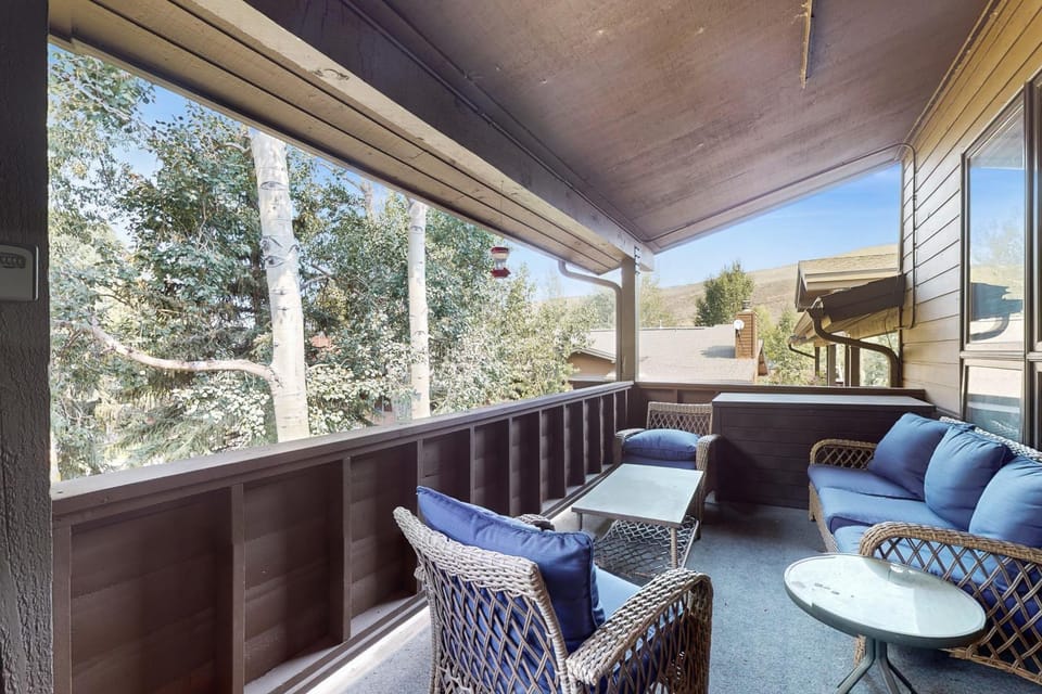 Mountain Living Apartment in Eagle County