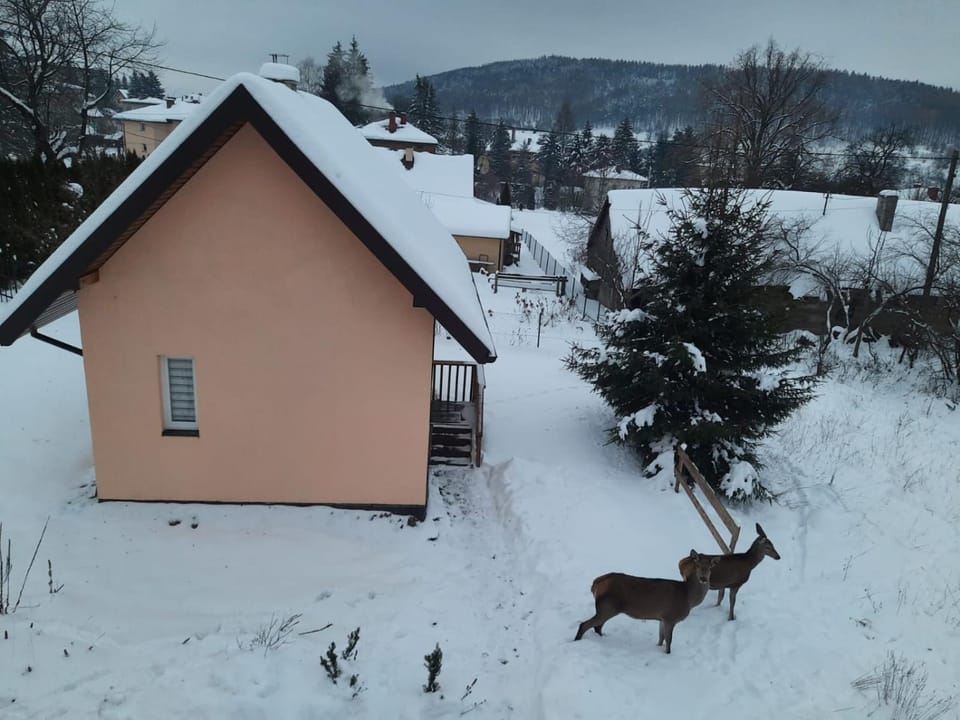 Brzoskwiniowy Domek Ustrzyki Dolne House in Poland