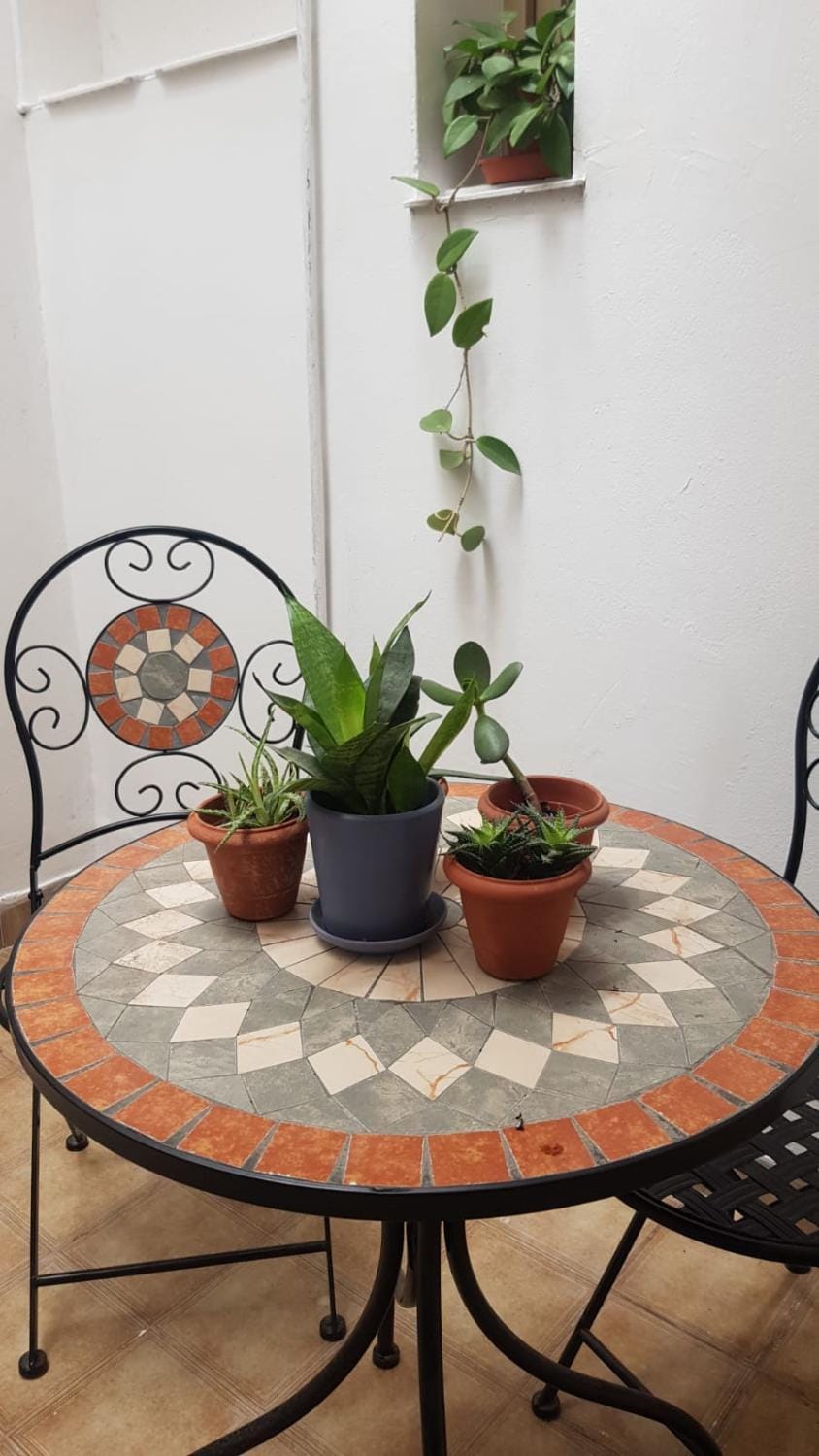 Botanical house Apartment in San Miguel de Tucumán