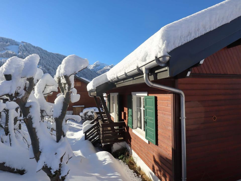 Chalet familial 12 pers, Arêches-Beaufort, proche commerces - FR-1-342-292 Chalet in Haute-Savoie