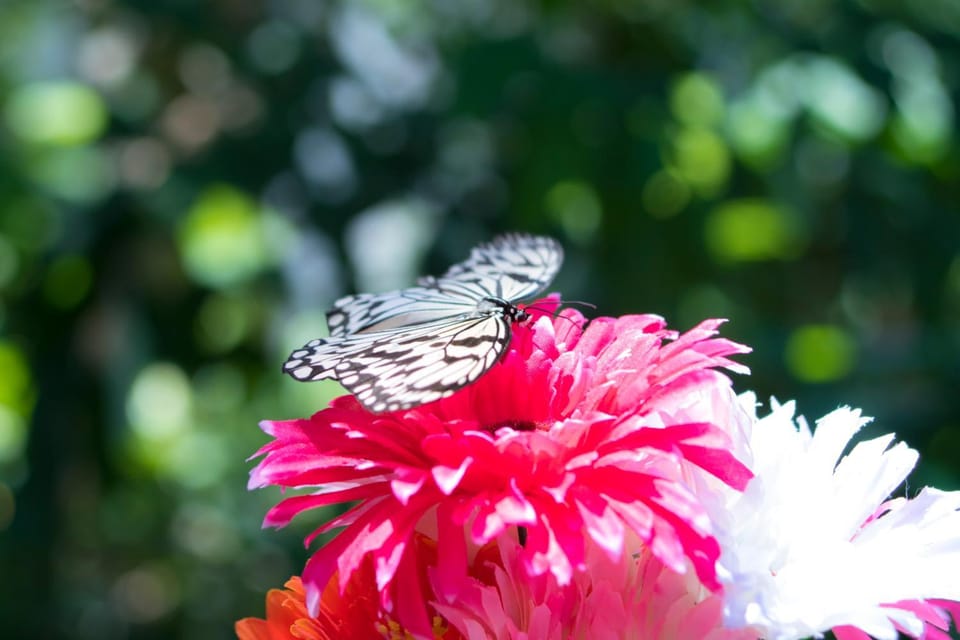 Sea-k-SEVEN Hotels and Resorts- Villa in Okinawa Prefecture