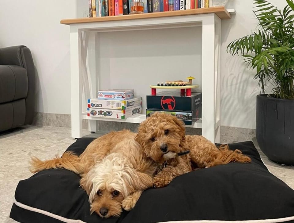 Pets