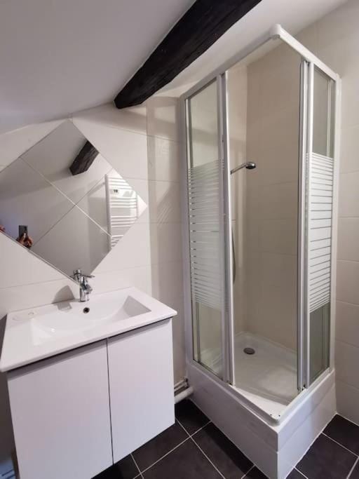 Studio sous les toits proche Paris et Versailles Apartment in Île-de-France