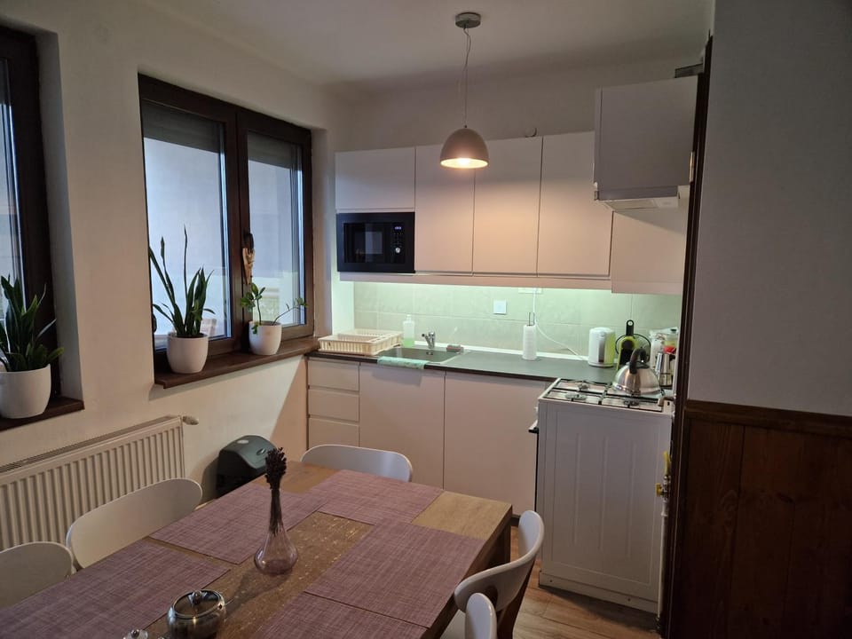 Kitchen or kitchenette, Dining area, minibar, pet friendly, stove