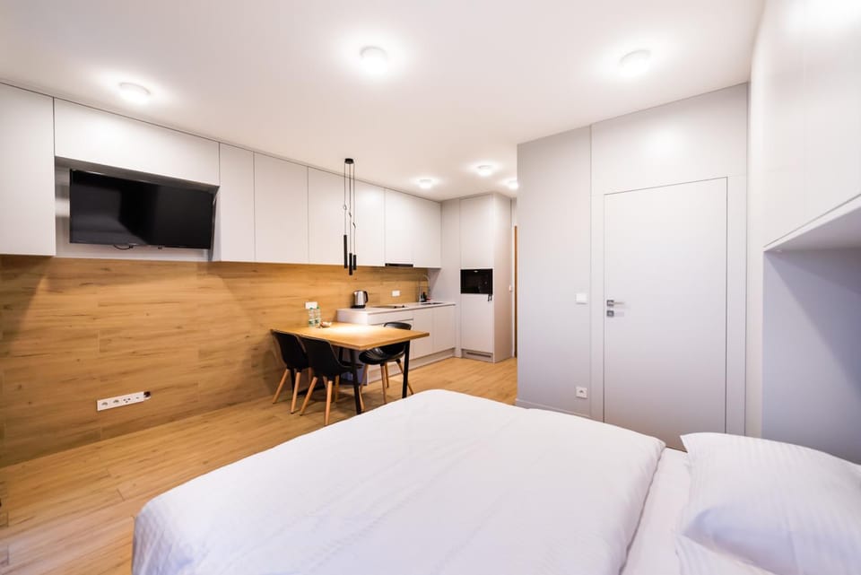 Bed, TV and multimedia, Kitchen or kitchenette, Living room, Photo of the whole room, Seating area, Dining area, Evening entertainment, Bedroom, hair dresser, wardrobe
