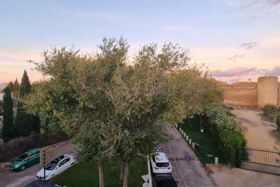 Neighbourhood, Natural landscape, Bird's eye view, Location
